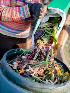 iStock-9013928_Kitchen-Waste-Composting_s3x4.jpg.rend.hgtvcom.1280.1707